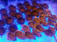 -银帆宾馆-自助餐厅(金马路店)