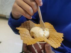 冰淇淋单球-哈根达斯(陆家浜路店)
