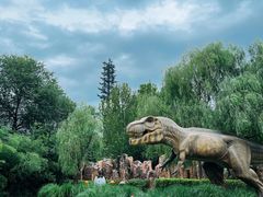 -北京野生动物园