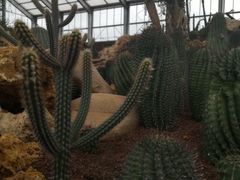 -南通洲际绿博园