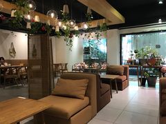 -柴务处·柴犬主题狗咖