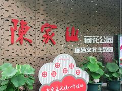 -陈家山荷花公园