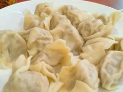 -石老头关东饺子王·东北菜(嘉华鑫城店)
