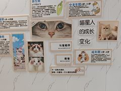 -瑞鹏瑞爱宠物医院·全科·猫科·血液透析中心(龙头寺店)