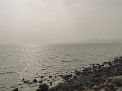 -深圳湾公园(南山区)