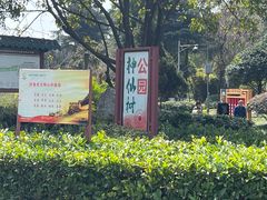 -神仙树公园