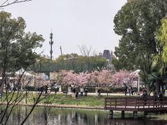 -新江湾城公园