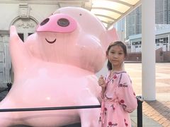 -九龙公园
