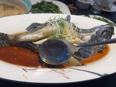 -鑫悦楼煎蟹·16年海鲜大排档