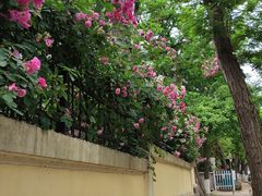 -青岛第三海水浴场