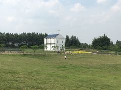 -紫颐香薰山谷景区