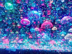 -上海梵高星空艺术馆(南京路旗舰店)