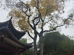 -柳侯公园