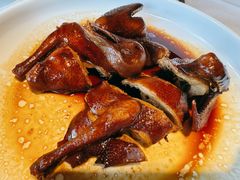 -侨美·唐荔园·40年地道粤菜