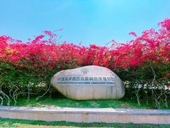 -中国科学院西双版纳热带植物园