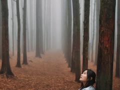 -山王坪喀斯特国家生态公园
