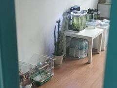 -北京观赏动物医院·24小时大型综合·猫专科·异宠专科