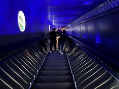 -白鹤梁水下博物馆