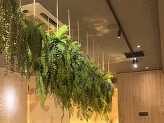 -如一鸡鲍鱼·粤式煲汤(长泰广场店)