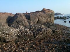 IMG00171-20120403-1707-栈桥景区