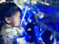 -济南奥林匹克体育中心体育场