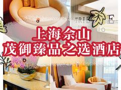 -上海佘山世茂艾美酒店
