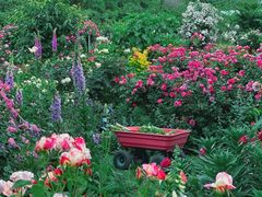 -崇圣寺三塔文化旅游区