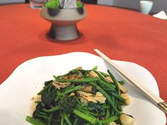 红根菠菜炒鲜腐竹-船歌·鱼水饺青岛菜(闽江二路店)