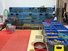 -双月饭店·20年老字号(新村店)
