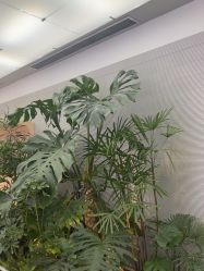 -纯粹医美