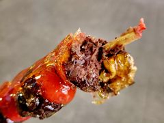 -糖葫芦王保定名吃(古莲花池店)