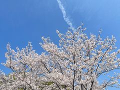 -老娘舅餐厅(黄龙体育中心店)