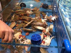 -蓝钻·国际美食海鲜自助百汇(西直门店)