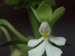 -风云岭森林公园