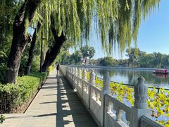 -姚记炒肝店(鼓楼店)