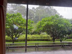 -南宁荔园维景国际酒店·荔园中餐厅