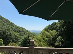-韬光茶庵