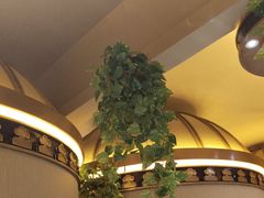 -蒙古人烤羊大师·绿野餐厅(工农大路店)