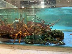 -旺顺阁海鲜广场(亚运村店)