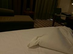 -苏州西交利物浦大学国际会议中心