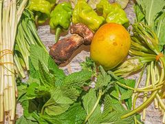 -缘生态云南菜·野生菌庭院餐厅(华侨城店)