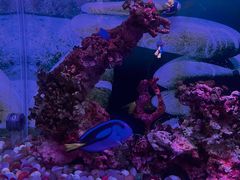 -秦皇岛新澳海底世界