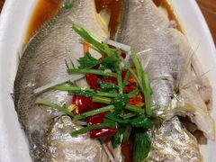 清蒸小黄鱼-虾宝贝胶东海鲜·渔家菜(小西天店)