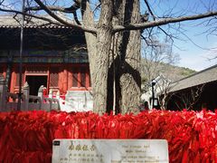 -红螺寺