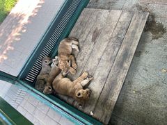 -秦皇岛野生动物园
