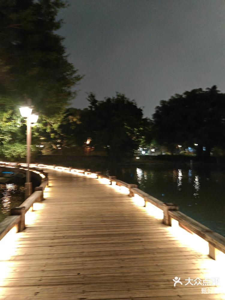 泉州西湖公园夜景图片