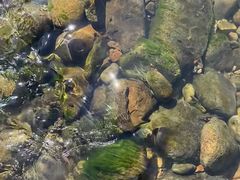 -楠溪江风景名胜区