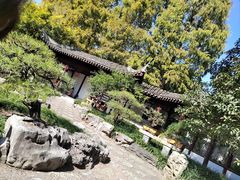 -上海醉白池公园