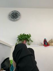 -苗颜坊祛痘·皮肤管理连锁机构