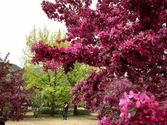 -国家植物园南园